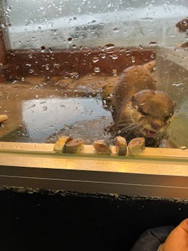 箱根園水族館に投稿された画像（2024/11/18）