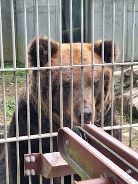 東武動物公園に投稿された画像（2024/11/18）