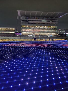 東京メガイルミに投稿された画像（2024/11/18）
