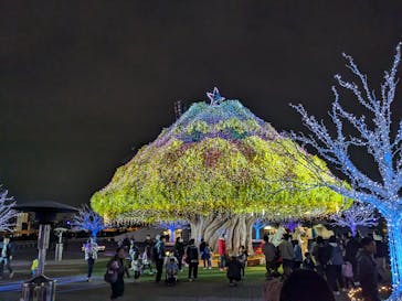 東京メガイルミに投稿された画像（2024/11/18）