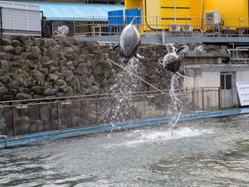 越前松島水族館に投稿された画像（2024/11/18）