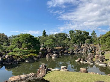 元離宮二条城に投稿された画像（2024/11/18）