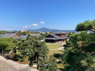 元離宮二条城に投稿された画像（2024/11/18）