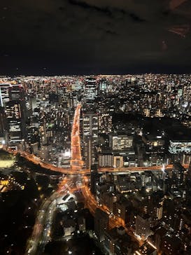 東京タワーに投稿された画像（2024/11/18）