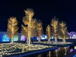 神戸イルミナージュに投稿された画像（2024/11/19）
