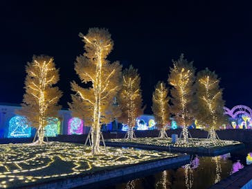 神戸イルミナージュに投稿された画像（2024/11/18）