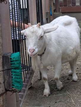 名古屋市東山動植物園に投稿された画像（2024/11/18）