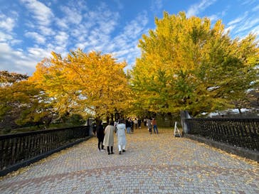 国営昭和記念公園 秋の夜散歩に投稿された画像（2024/11/18）