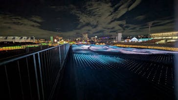 東京メガイルミに投稿された画像（2024/11/19）