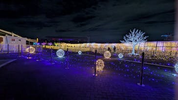 東京メガイルミに投稿された画像（2024/11/19）