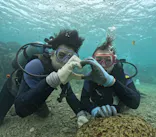 武藤潜水に投稿された画像（2024/11/19）