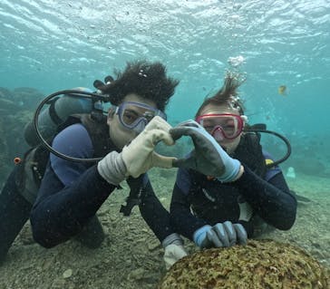 武藤潜水に投稿された画像（2024/11/19）