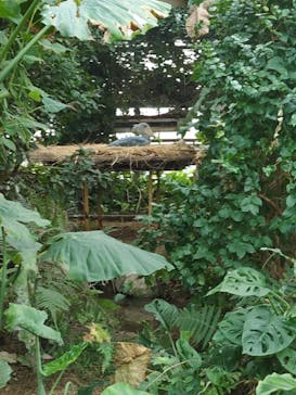 神戸どうぶつ王国に投稿された画像（2024/11/19）