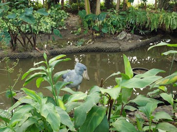 神戸どうぶつ王国に投稿された画像（2024/11/19）