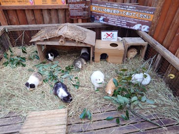 神戸どうぶつ王国に投稿された画像（2024/11/19）