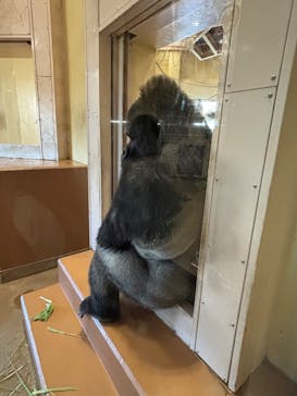 名古屋市東山動植物園に投稿された画像（2024/11/19）