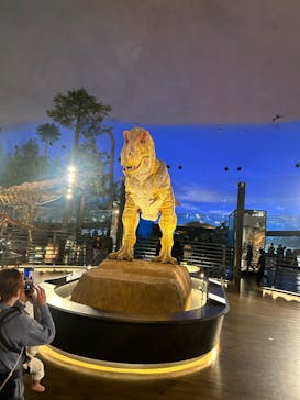 福井県立恐竜博物館に投稿された画像（2024/11/19）