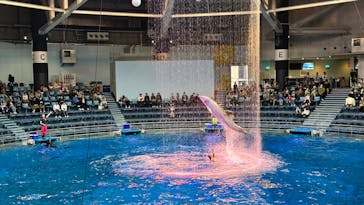 マクセル アクアパーク品川に投稿された画像（2024/11/19）