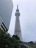 東京スカイツリーに投稿された画像（2024/11/19）