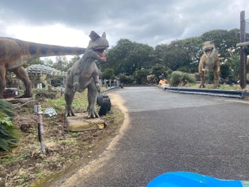 伊豆ぐらんぱる公園に投稿された画像（2024/11/19）