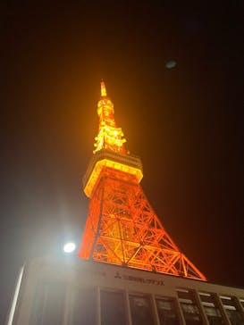 東京タワーに投稿された画像（2024/11/19）