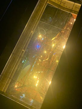 東京タワーに投稿された画像（2024/11/19）