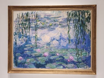 モネ 睡蓮のとき（国立西洋美術館）に投稿された画像（2024/11/19）