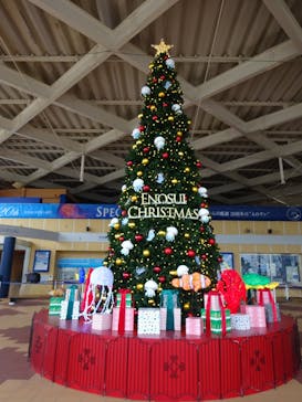 新江ノ島水族館に投稿された画像（2024/11/19）