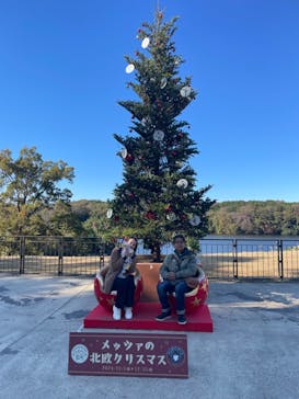 ムーミンバレーパークに投稿された画像（2024/11/19）