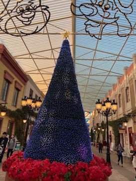 志摩スペイン村パルケエスパーニャに投稿された画像（2024/11/19）