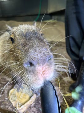 マクセル アクアパーク品川に投稿された画像（2024/11/19）