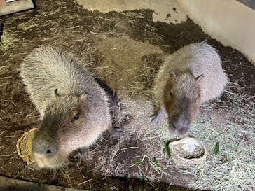 マクセル アクアパーク品川に投稿された画像（2024/11/19）