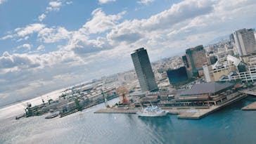 神戸ポートタワーに投稿された画像（2024/11/19）