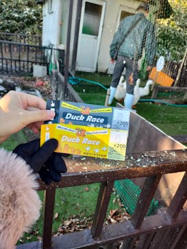 のぼりべつクマ牧場に投稿された画像（2024/11/19）