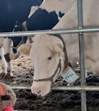 成田ゆめ牧場に投稿された画像（2024/11/19）