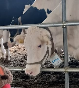 成田ゆめ牧場に投稿された画像（2024/11/19）