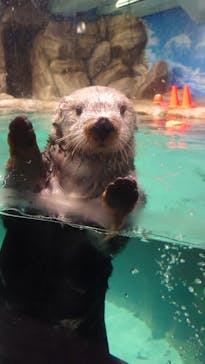 マリンワールド海の中道に投稿された画像（2024/11/19）