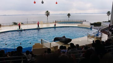 マリンワールド海の中道に投稿された画像（2024/11/19）