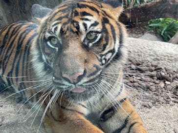 神戸どうぶつ王国に投稿された画像（2024/11/19）