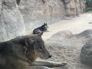 神戸どうぶつ王国に投稿された画像（2024/11/19）