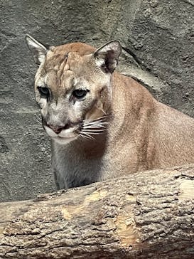 神戸どうぶつ王国に投稿された画像（2024/11/19）