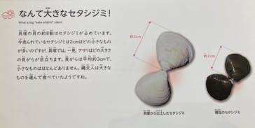 滋賀県立琵琶湖博物館に投稿された画像（2024/11/19）