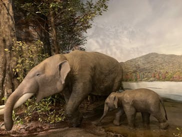 滋賀県立琵琶湖博物館に投稿された画像（2024/11/19）