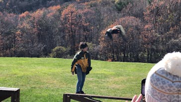 那須どうぶつ王国に投稿された画像（2024/11/19）