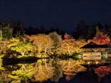 国営昭和記念公園 秋の夜散歩に投稿された画像（2024/11/19）