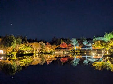 国営昭和記念公園 秋の夜散歩に投稿された画像（2024/11/19）