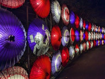 国営昭和記念公園 秋の夜散歩に投稿された画像（2024/11/19）