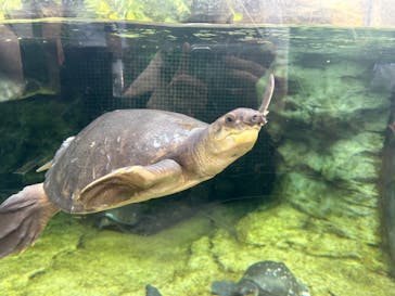 恩賜上野動物園に投稿された画像（2024/11/19）
