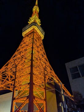 東京タワーに投稿された画像（2024/11/19）