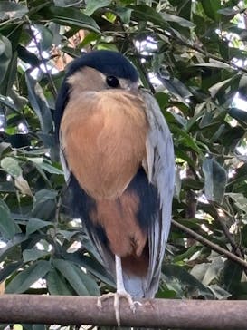 那須どうぶつ王国に投稿された画像（2024/11/19）